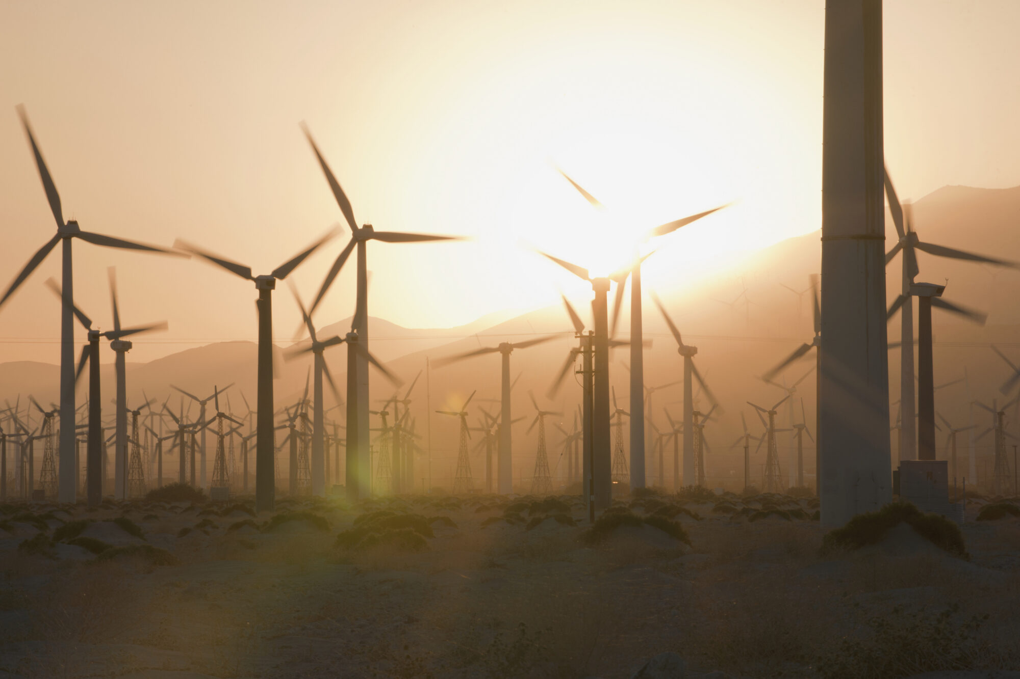 A large wind farm in Palm Springs, California with dozens of wind turbines silhouetted against a hazy, golden sunset, with mountains in the background.