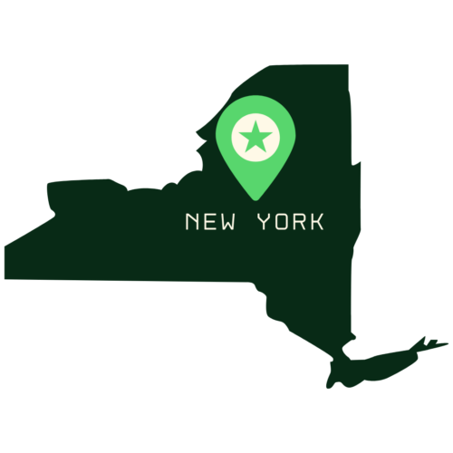 A stylized icon of the state of New York in dark green, with a location pin marker (featuring a star) placed in the center and the word 